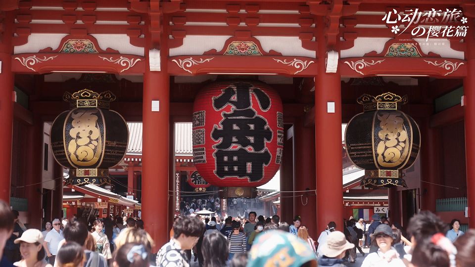 ss_9e726fbe32633e57b1c7da75e280a4376d1f612d.1920x1080.jpg